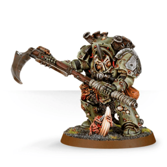 Typhus 1