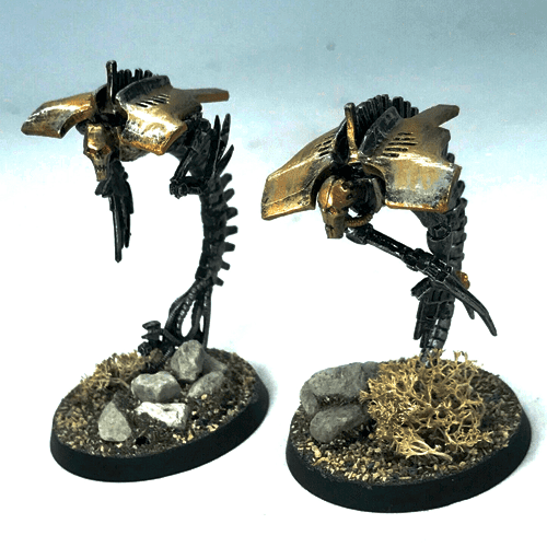 Canoptek Wraiths (X2) 2